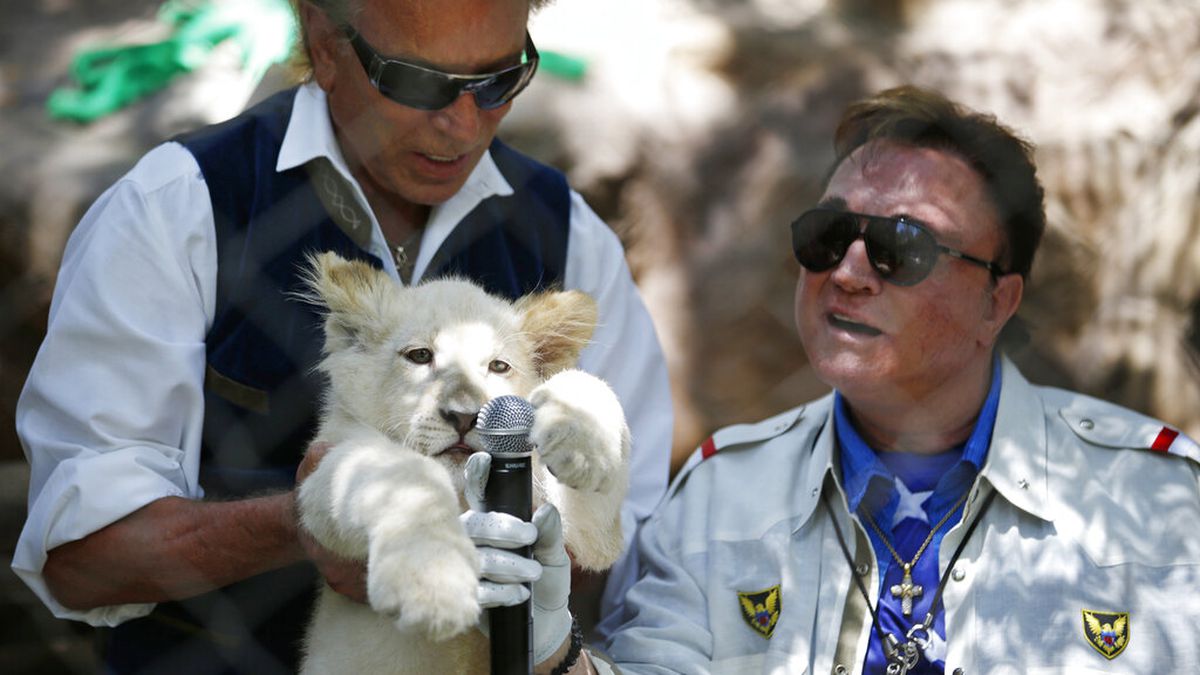 In this Thursday, July 17, 2014, file photo, Siegfried Fischbacher, left, holds up a white lion...