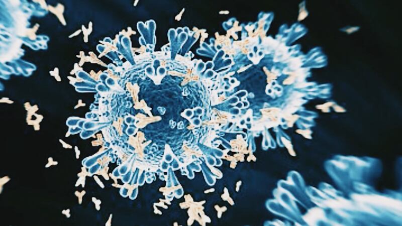 A new COVID-19 variant called Delta-Plus has been identified in the New Orleans area