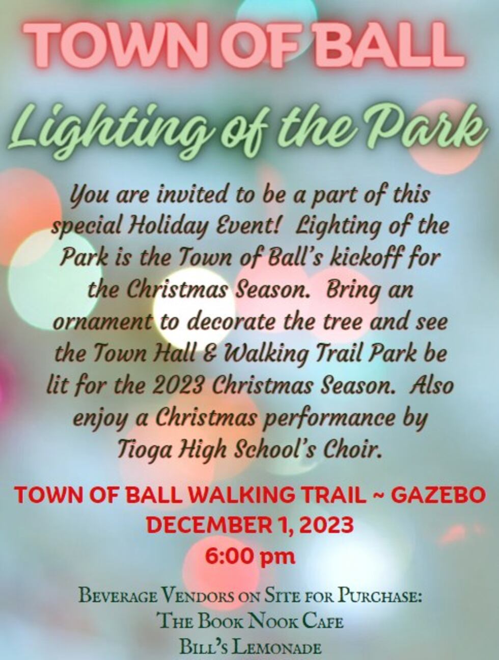Lighting of the Park