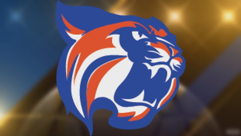 The Wildcats defeated LSU-Shreveport 1-0 in the Red River Conference Tournament Championship...