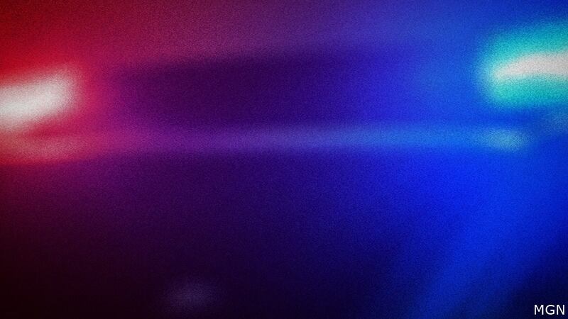 According to the Department of Public Safety, a 39-year-old driver tried to stop one of the...