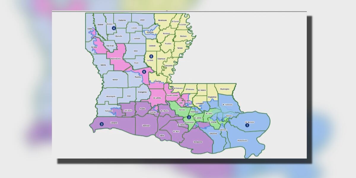 La Congressional District 6 candidate releases statement on federal La Congressional District 6 candidate releases statement on federal