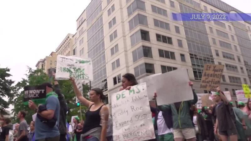 (FILE) Thousands rally for the annual Women's March in Washington, DC. (July 9, 2022)