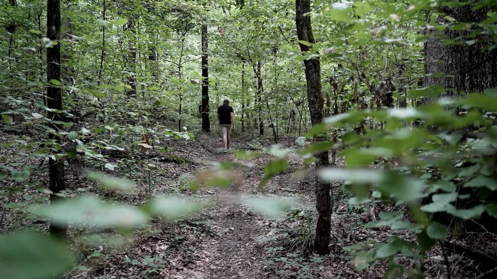 The walking trail on Driskill Mountain in Bienville Parish, Louisiana.